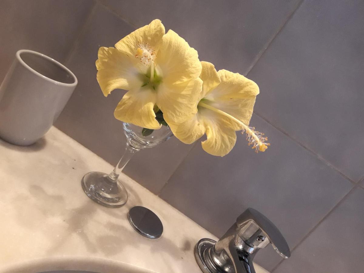 Apto Tipo Loft En Complejo Bahama, A Metros Del Mar Y Zona Muy Tranquila Пунта-дель-Эсте Экстерьер фото
